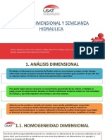 Analisis y Semejanza Finalizado