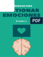 3 Tecnicas Gestion Emociones Ebook MEITPRO