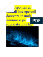 Jocul Spontan Al Luminii Intelepciunii Danseaza in Unde Luminoase Pe Suprafata Unui Lac