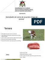 Agroindustria Tipo de Carnes