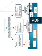 Mapa Procesos