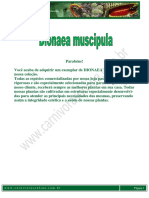 Manual Dionaea Muscipula