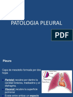 Patologia Pleural