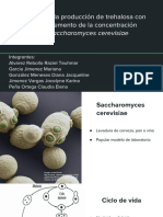 Evaluación de La Producción de Trehalosa en Relación Al Incremento de La Concentración Etanolica en Saccharomyces Cerevisiae (Presentación)