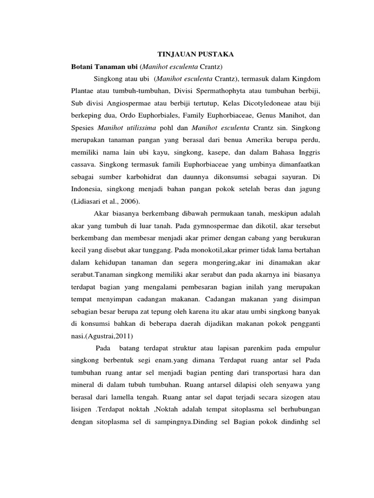 Tinjauan Pustaka