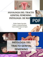 02.-Patologia Del Tracto Genital Femenino y Mama -Teoria