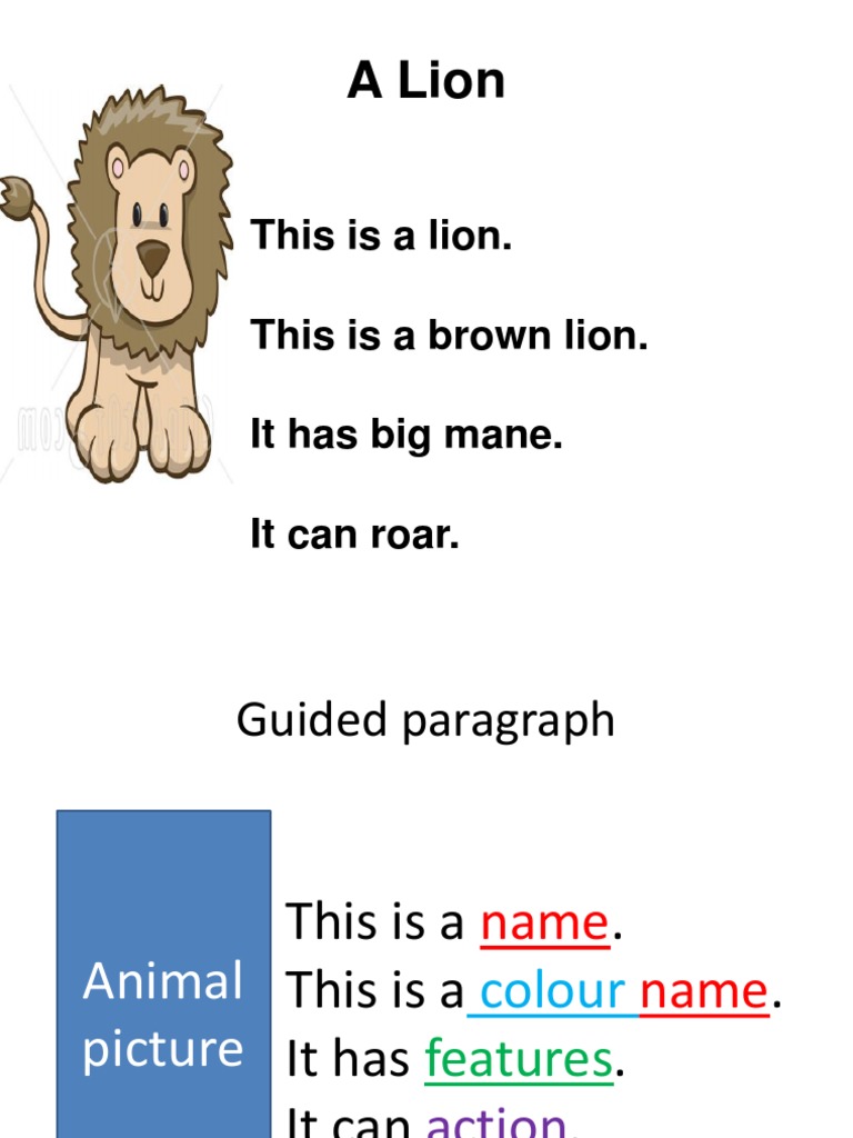 Example &amp; Guided Paragraph | PDF