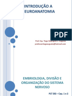 001 - Embriologia, Divisão, Organização
