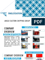 Anglo Eastern SHIPPING Group - Copy