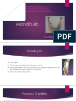 Mandíbula - andreia e moises.pdf