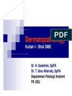 dermatopathology - morfologi lesi kulit.pdf