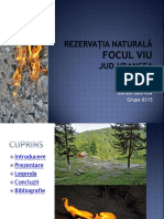 Focul Viu 2017