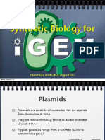 Synthetic Biology For: Plasmids and DNA Digestion