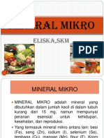Mineral Mikro Kul 13