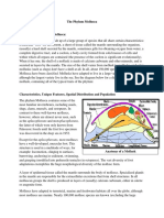 The Phylum Mollusca