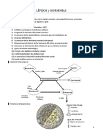 Lípidos y Hormonas1