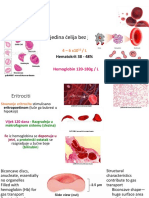 Erythrocytes