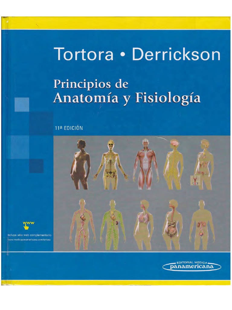 Tortora Anatomia Y Fisiologia Humana Pdf Pdf