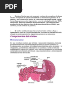Funciones nucleo