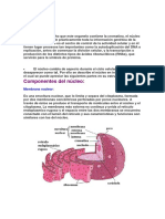 Funciones Nucleo