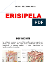 Erisipela PDF