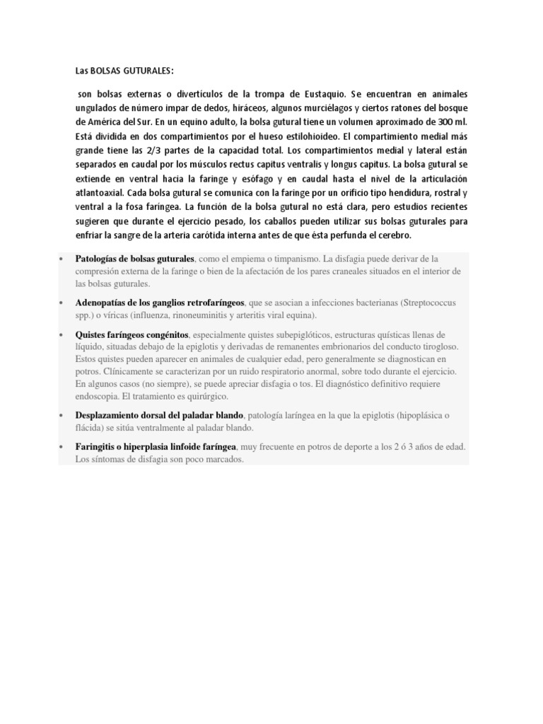 Las Bolsas Guturales PDF Caballos Tos