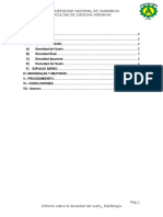 Informe Eda Densidad Impri