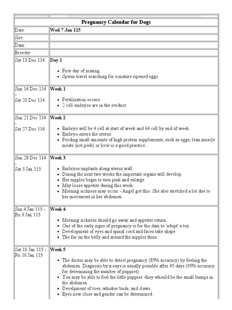 Canine Pregnancy Calendar | PDF | Embryo | Pregnancy