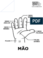 05.anatomia Da Mão