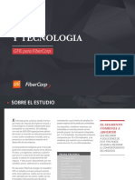 FiberCorp Informe Paper 2017