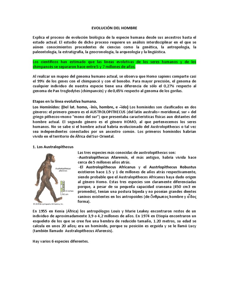 Evolución Del Hombre | PDF | Homo | Evolución humana