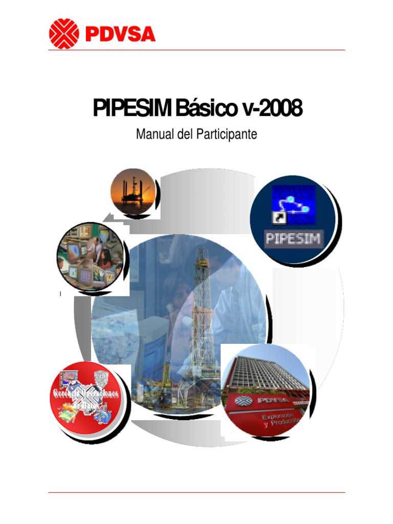 Manual PIPESIM Basico V 2008 PDF | PDF | Gases | Archivo de computadora