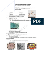 12-struktur-dan-fungsi-jaringan-tumbuhan1.doc