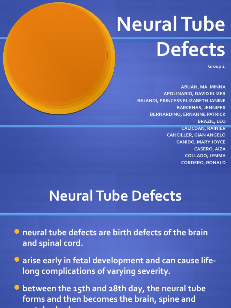 Understanding Neural Tube Defects | PDF | Medical Specialties ...