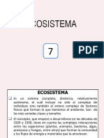 Contaminación Ambiental - 7