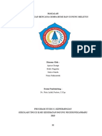 Makalah PB Gempa Bumi Dan Gunung Meletus