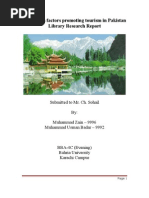 Download Library Research on Tourism industry of Pakistan by nuplinzain SN3662568 doc pdf