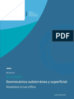 Brochure diplomado v3.pdf