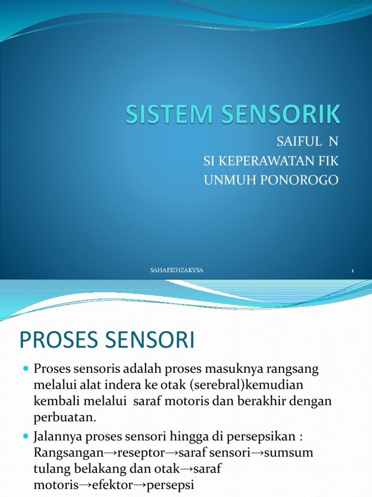 Sistem Sensorik | PDF