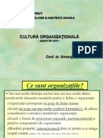 1. Cultura organizationala_Introducere.pdf