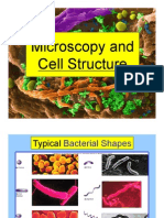 Microscopy &amp; Cell Structure