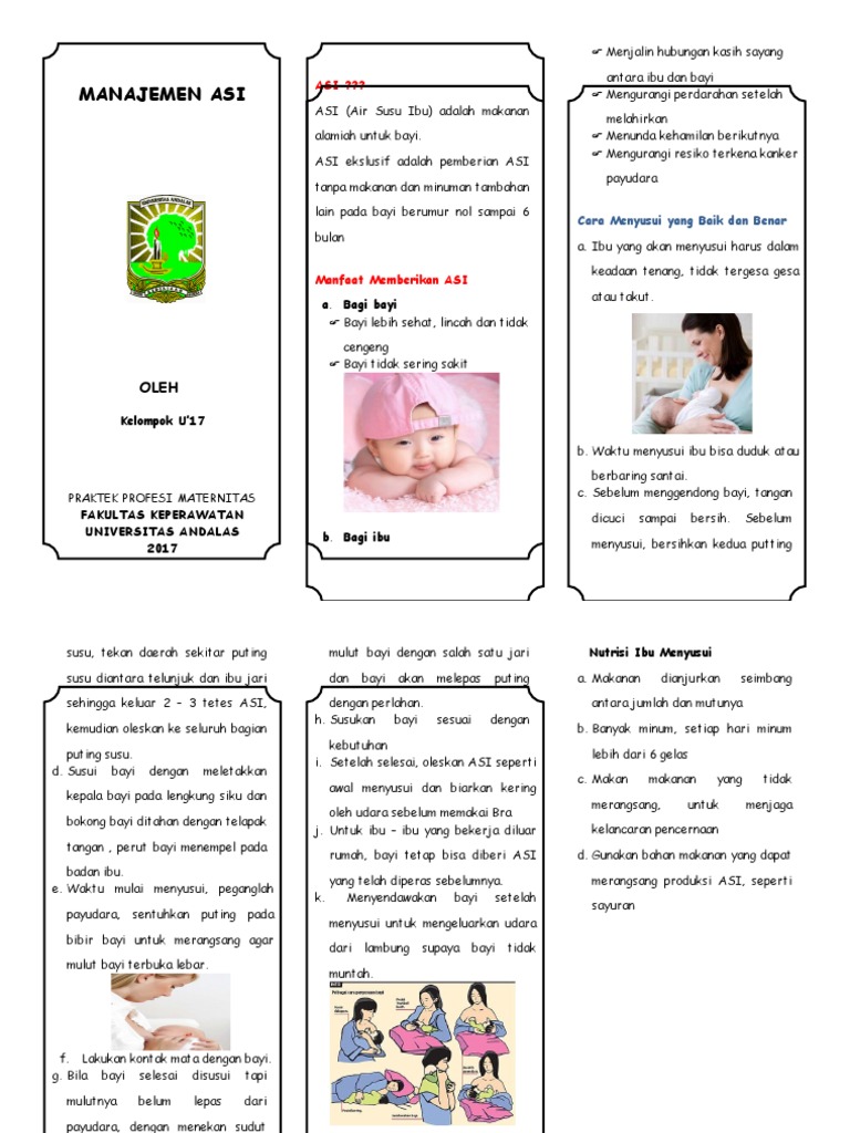 Leaflet Laktasi