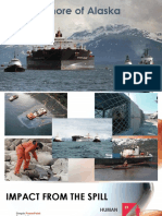 Exxon Valdez Impact on Human, Animals, Enviroment & Economy