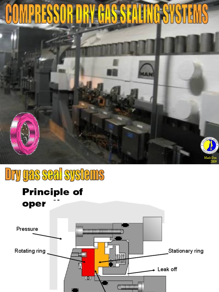Compressor Dry Gas Seal System Valve Bearing (Mechanical)