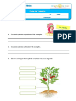 as plantas.pdf