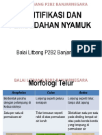 Identifikasi Dan Pembedahan Nyamuk PDF