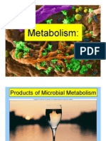 Metabolism &amp; Fuel Growth 6
