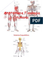 1 Sistema Esquelético