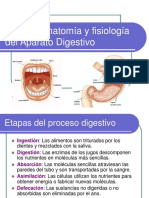 aparato digestivo