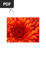 New Rich Text Document (2)